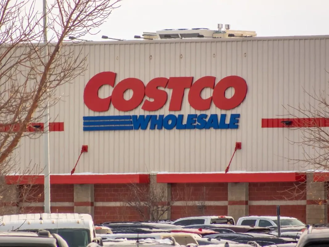 Costco Offers 5-Level Cat Tree for Enhanced Feline Enrichment