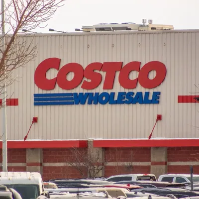 Costco Offers 5-Level Cat Tree for Enhanced Feline Enrichment