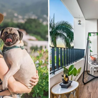 Puerto Vallarta Airbnb Host Navigates Tourism Concerns Amidst Local Unrest