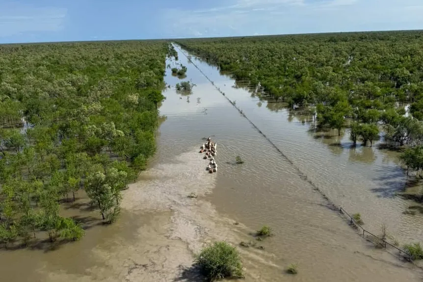 Gulf of Carpentaria Endures Record-Breaking Wet Season, Sparking Isolation and Economic Concerns
