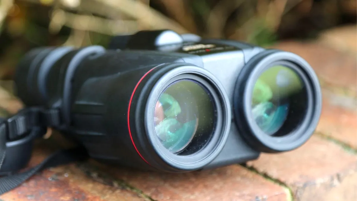 The Best Image-Stabilized Binoculars for Astronomy and Wildlife