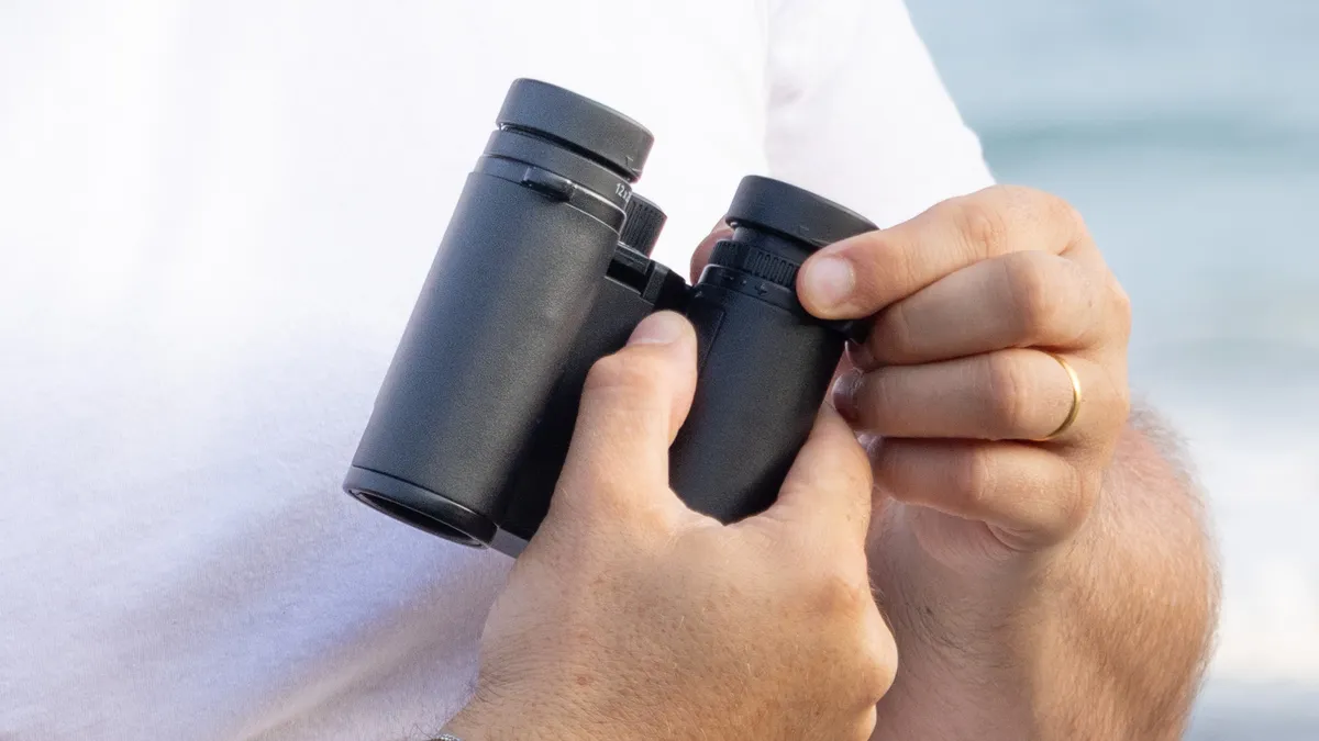 The Best Image-Stabilized Binoculars for Astronomy and Wildlife