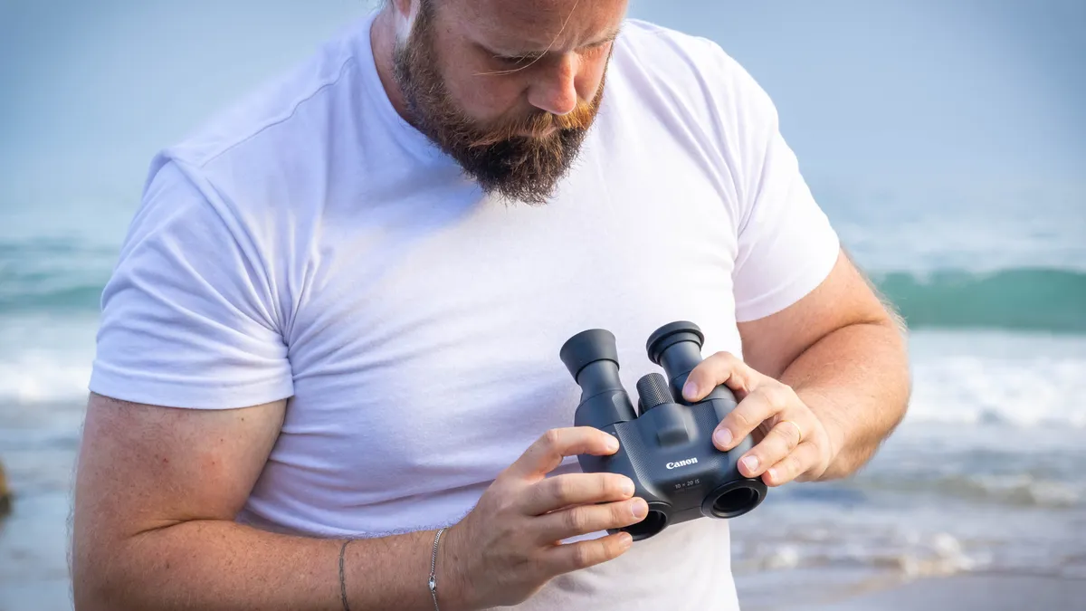 The Best Image-Stabilized Binoculars for Astronomy and Wildlife