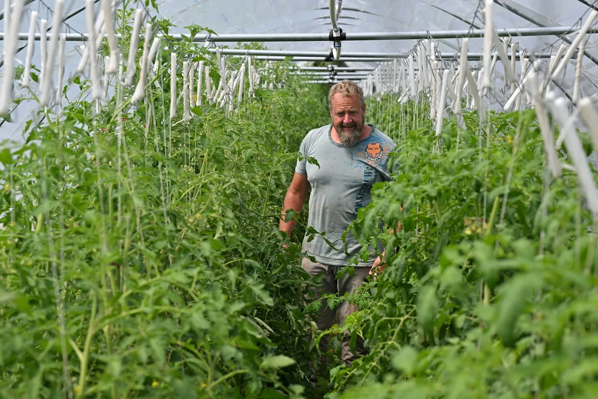 Protected Cropping Emerges as Climate Resilience Strategy for Australian Agriculture