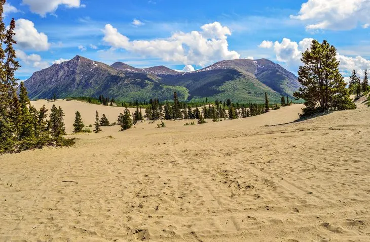 Carcross Desert: Debunking the World's Smallest Desert Myth