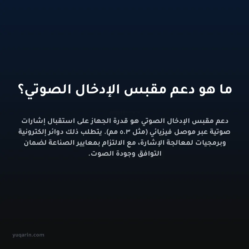 ما هو دعم مقبس الإدخال الصوتي؟