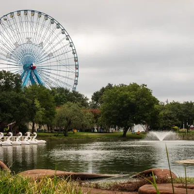 Fair Park Dallas Welcomes Producer-Only Farmers Market to Enhance Agricultural Legacy