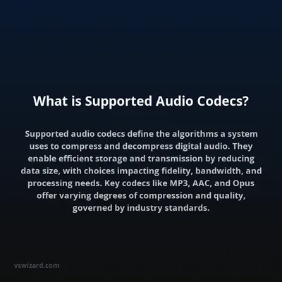 What is Supported Audio Codecs?