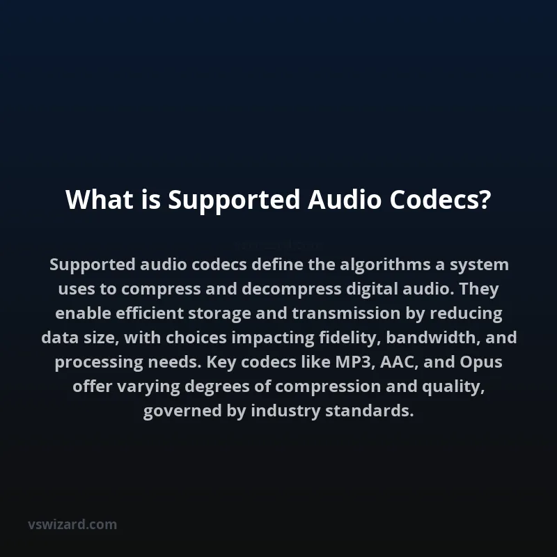 What is Supported Audio Codecs?