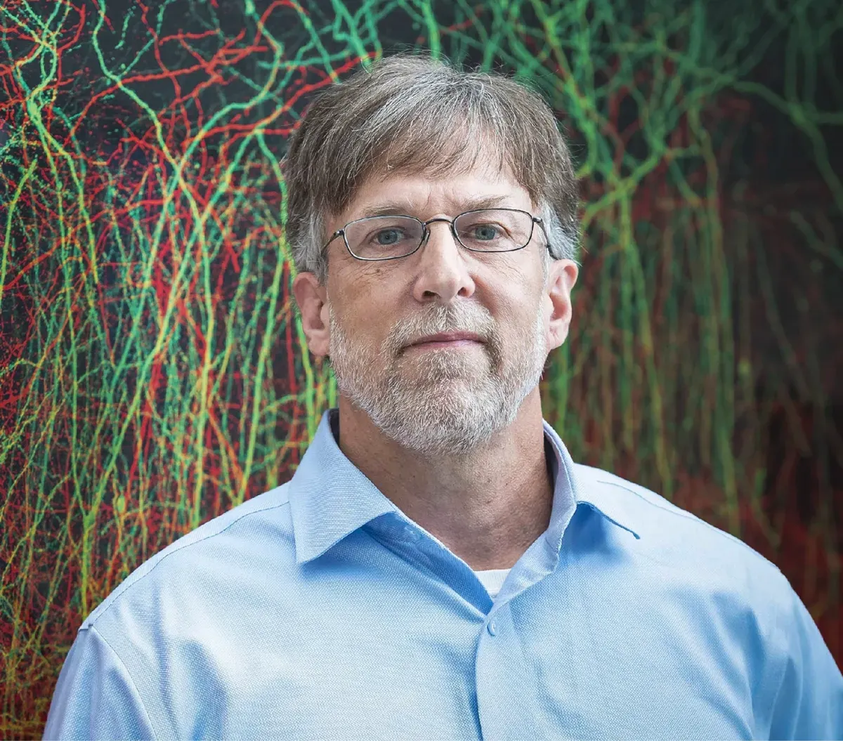 New Neuroplasticity Mechanism Discovered: Brain Rewires After Single Experience