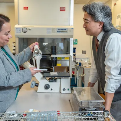 Revolutionary 'Living' Knee Replacement Moves Closer to Human Trials