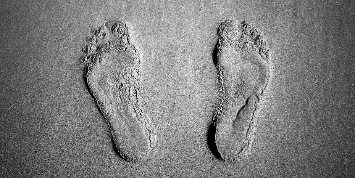 Ancient Human Footprints in Saudi Arabia Shed Light on Early Migrations