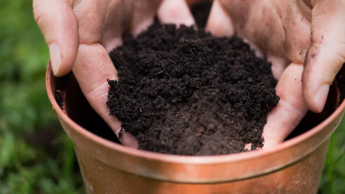 Topsoil vs. Garden Soil: Understanding the Key Differences for a Thriving Garden