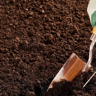 Topsoil vs. Garden Soil: Understanding the Key Differences for a Thriving Garden