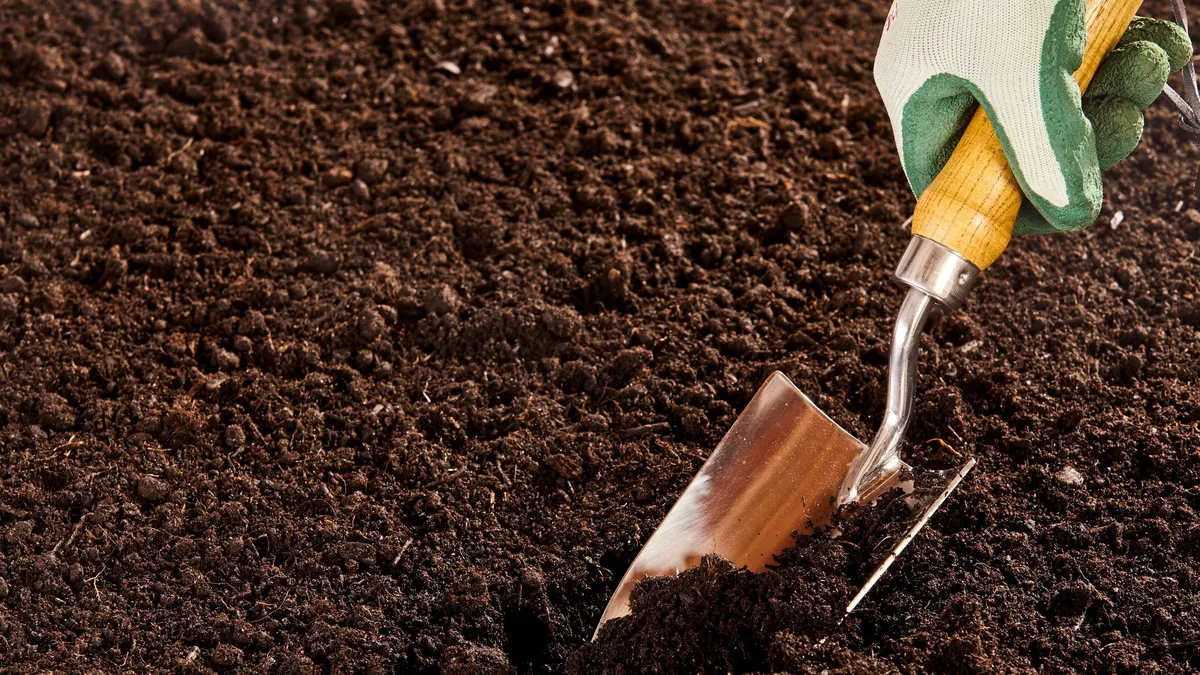Topsoil vs. Garden Soil: Understanding the Key Differences for a Thriving Garden