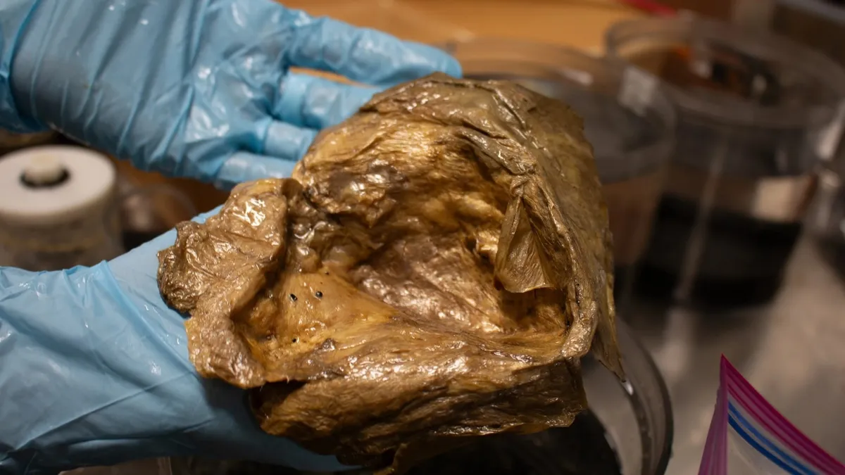 Mysterious Golden Orb Discovered in Ocean Depths Sparks Scientific Curiosity