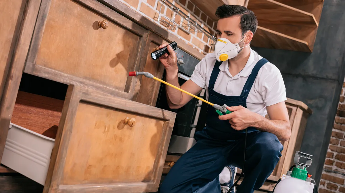 Weevils in the Kitchen: Identifying and Eradicating These Destructive Pantry Pests