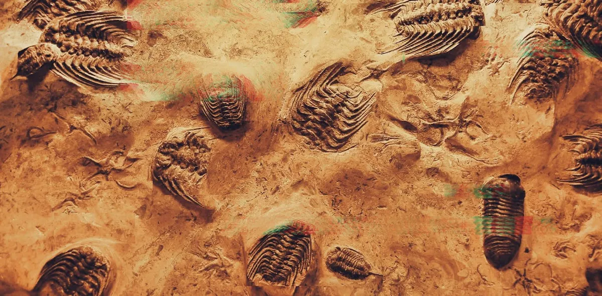 The Dawn of Evolvable AI: Natural Selection Meets Artificial Intelligence