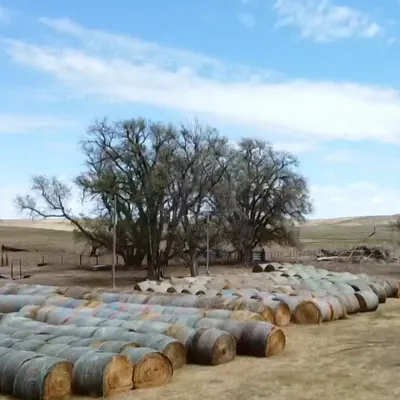 Nebraska Ranchers Receive Overwhelming Hay Donations Following Historic Wildfire