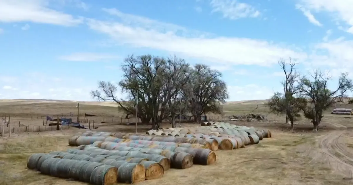 Nebraska Ranchers Receive Overwhelming Hay Donations Following Historic Wildfire