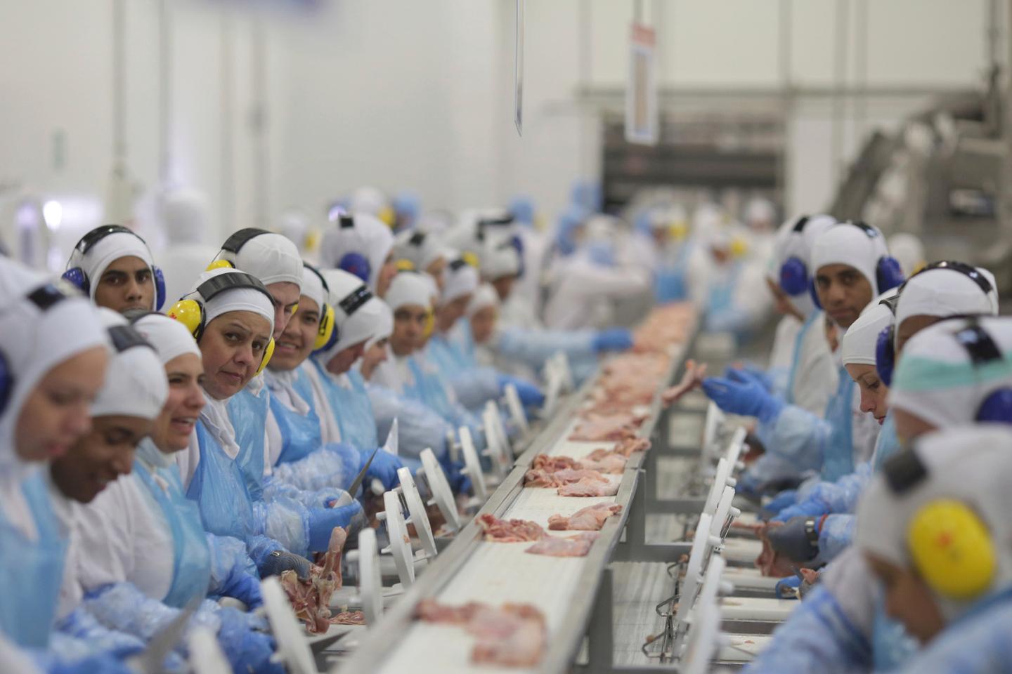 Chapeco: Brazil's Meat Production Hub Poised for Growth Amidst Trade Agreements