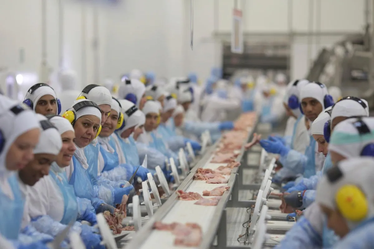 Chapeco: Brazil's Meat Production Hub Poised for Growth Amidst Trade Agreements