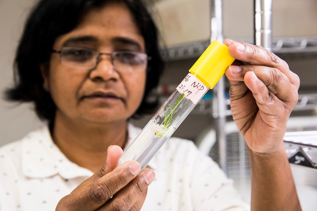 Five Scientific Breakthroughs Poised to Dramatically Extend Human Lifespan