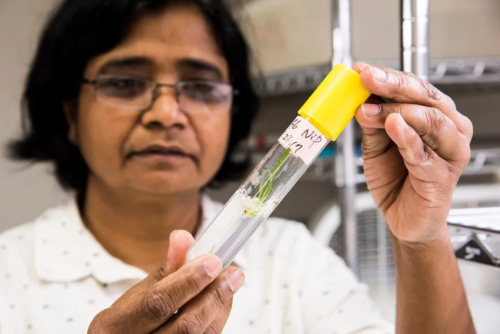 Five Scientific Breakthroughs Poised to Dramatically Extend Human Lifespan