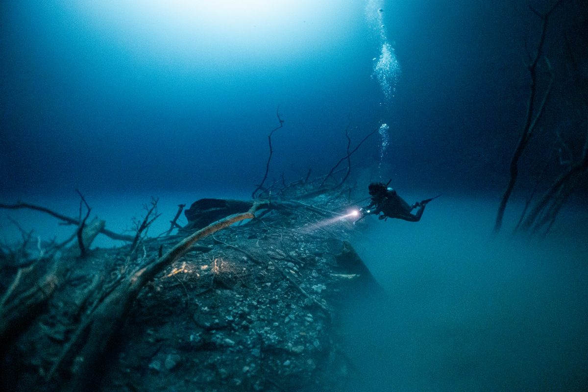 Cenote Angelita: Exploring Mexico's Ethereal Underwater 'Cloud' and Submerged Forest