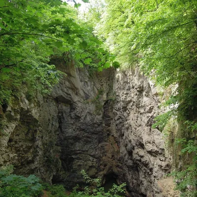 Hranice Abyss: Unveiling the Secrets of the World's Deepest Freshwater Cave