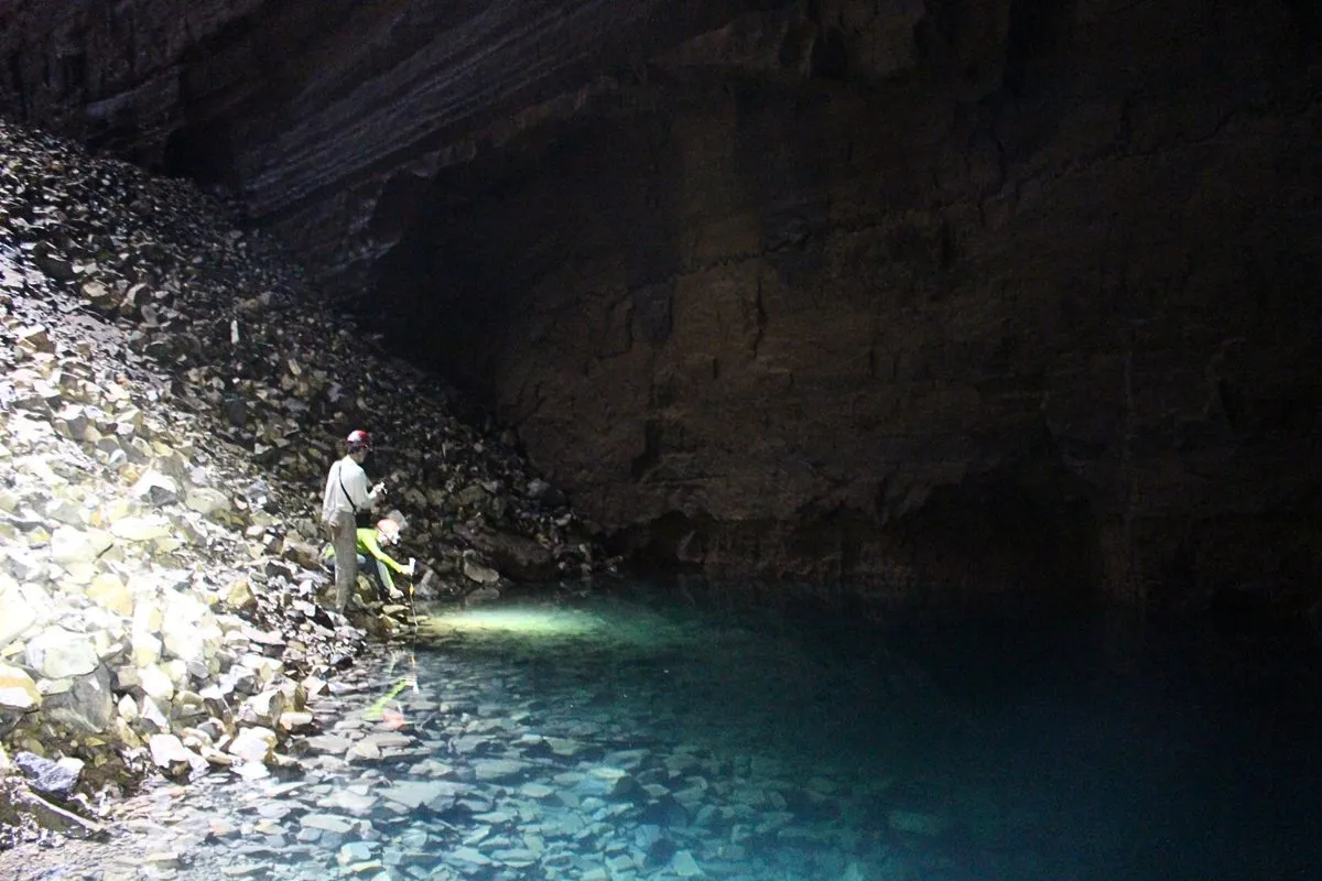 Mexican Tetra Study Reveals Genetic Basis for Eyeloss in Subterranean Species