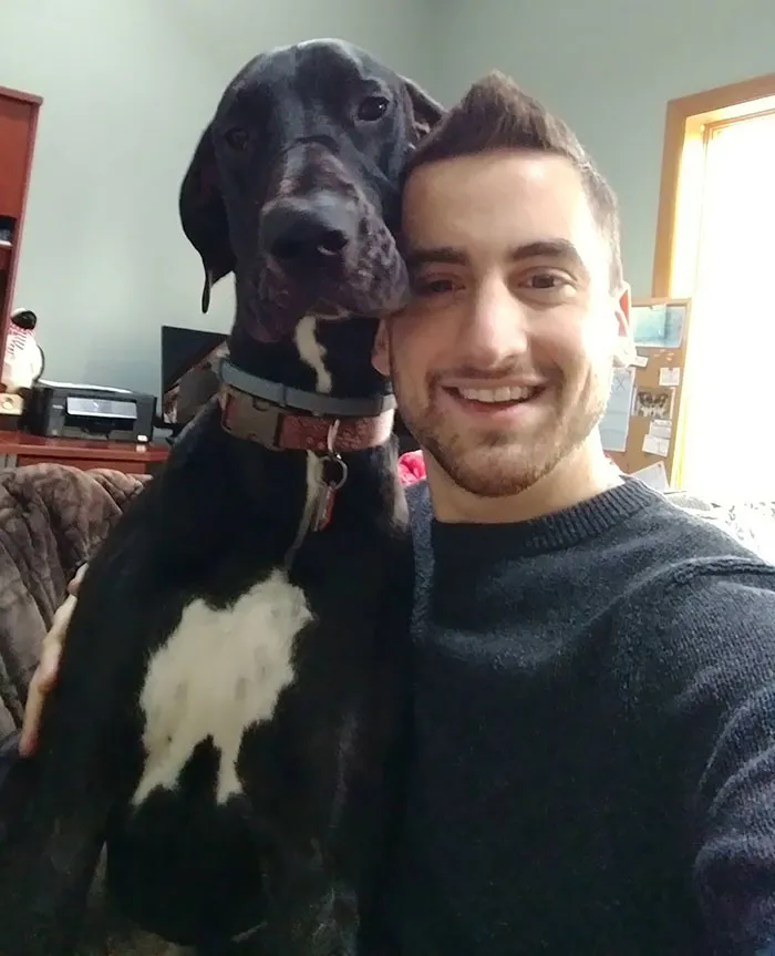 Great Danes: Gentle Giants with Surprisingly Affectionate Natures