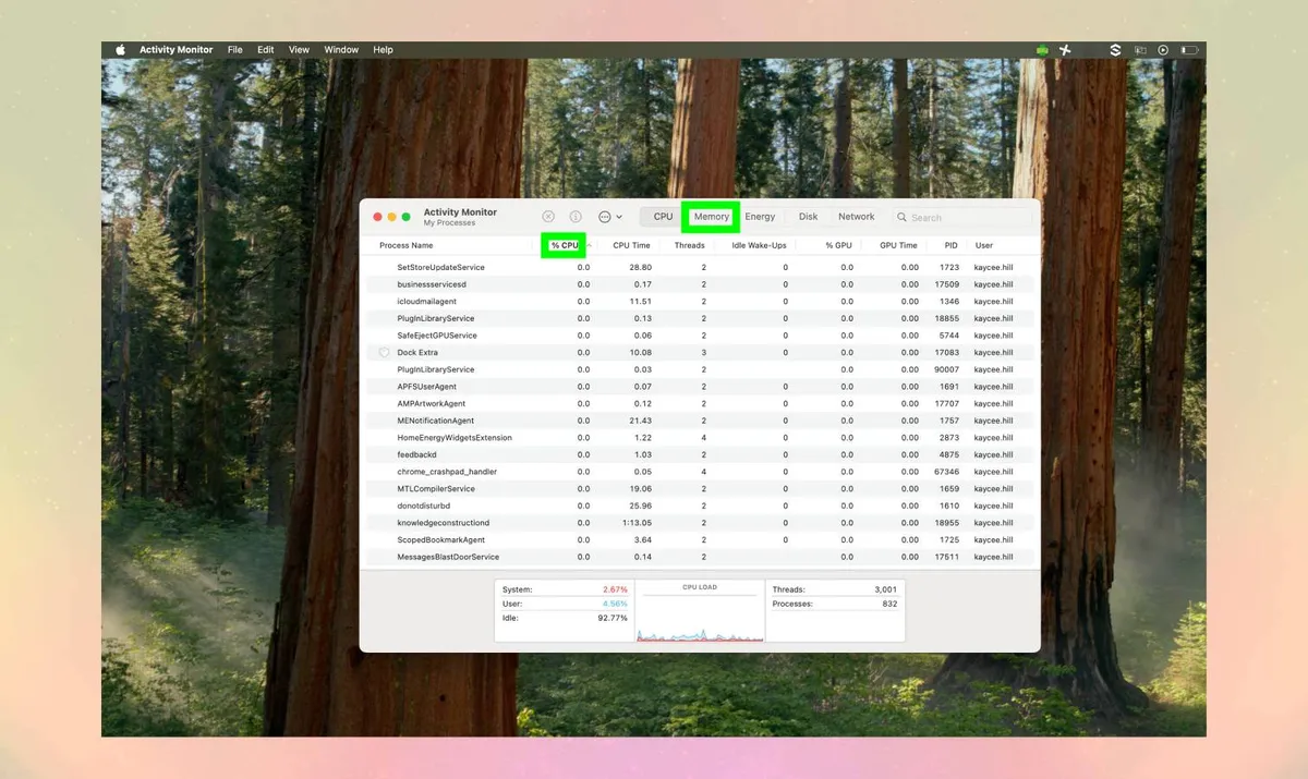 Revitalize Your Mac: Essential Monthly Maintenance for Peak Performance