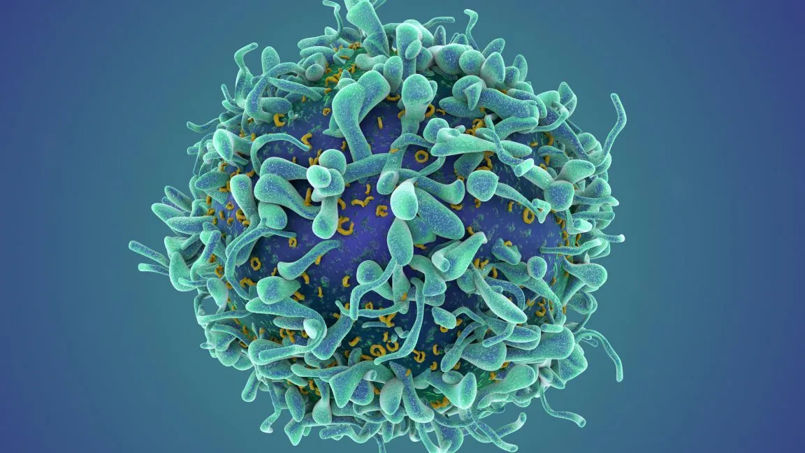 CAR T-Cell Therapy Shows Promise for Autoimmune Diseases Beyond Cancer
