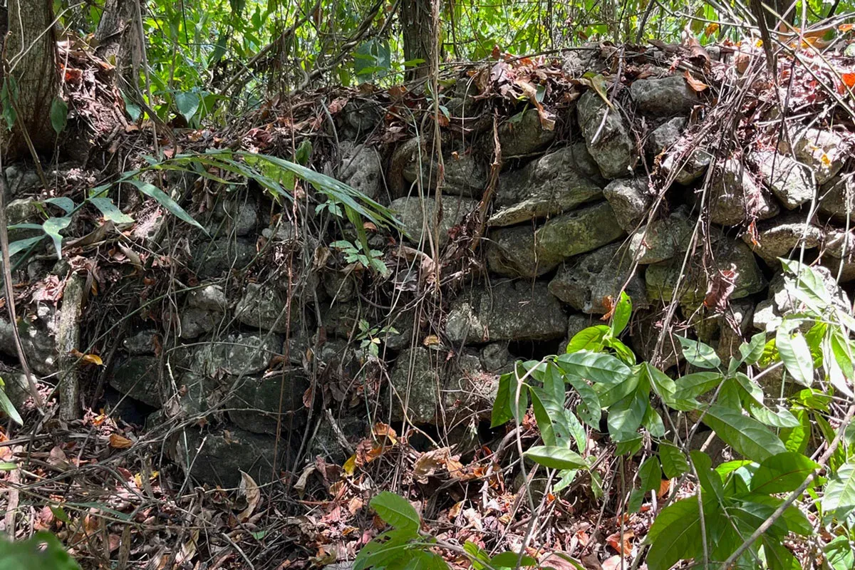 Potential Lost Maya City, Sac Balam, Unearthed in Mexican Jungle