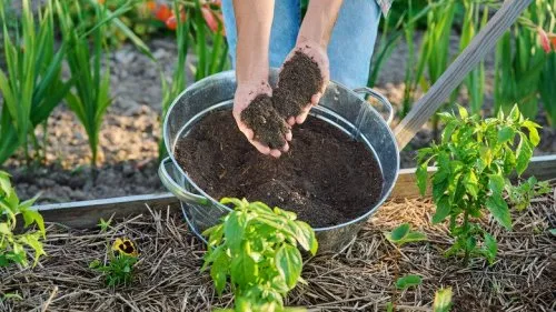 Advanced Composting Techniques for Enriched Soil