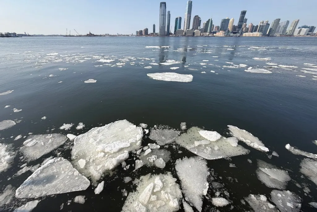 New Jersey Governor Declares Emergency After Freeze Devastates Crops Valued at $300 Million