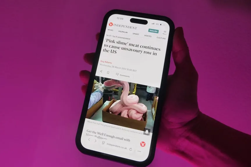Unmasking 'Pink Slime' Journalism: AI-Generated News Sites Raise Alarms in Australia
