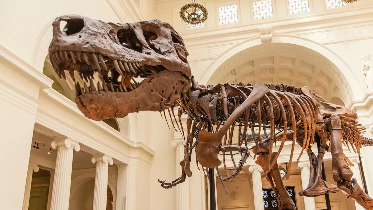 Tyrannosaurus Rex's Tiny Arms: New Study Links Them to Powerful Jaws and Evolving Prey