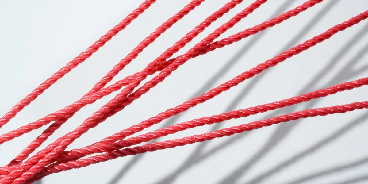 New Study Suggests String Theory Emerges Naturally from Fundamental Assumptions