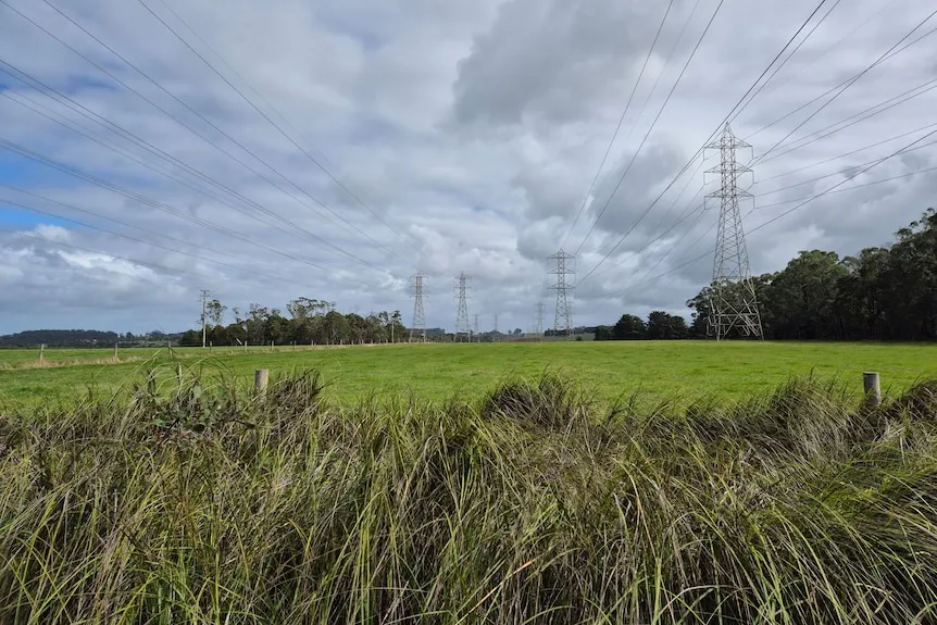 Gippsland Farmers Resist Battery Storage Projects on Agricultural Land