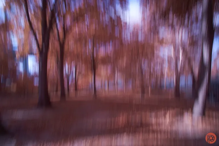 AI Can't Replicate: Mastering Shutter Effects for Unique Photography