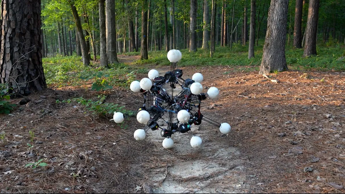 The Optimal Robot Design Might Be a 20-Legged 'Sea Urchin'