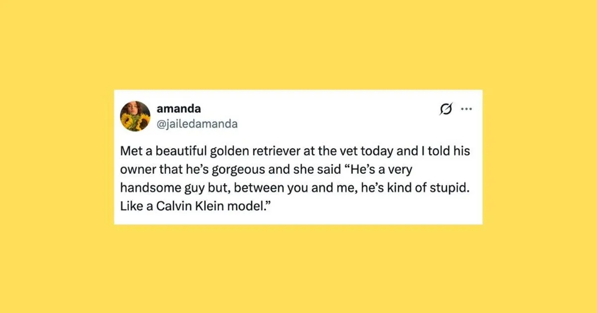A Week in Pawsitive Posts: The Funniest Pet Moments from Social Media