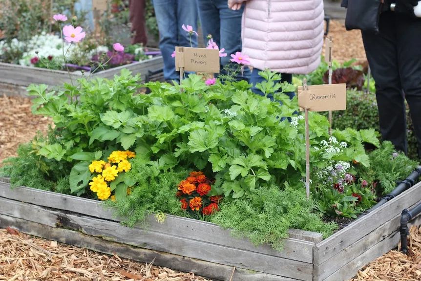 Permaculture's Resurgence: Sustainability Principles Gain Traction Amidst Modern Challenges