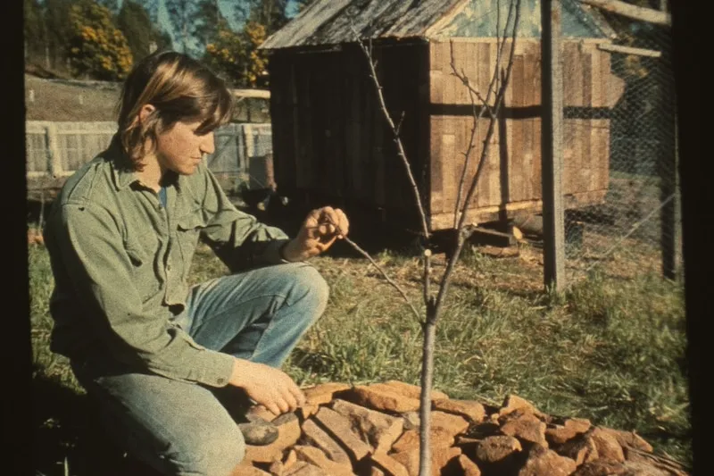 Permaculture's Resurgence: Sustainability Principles Gain Traction Amidst Modern Challenges