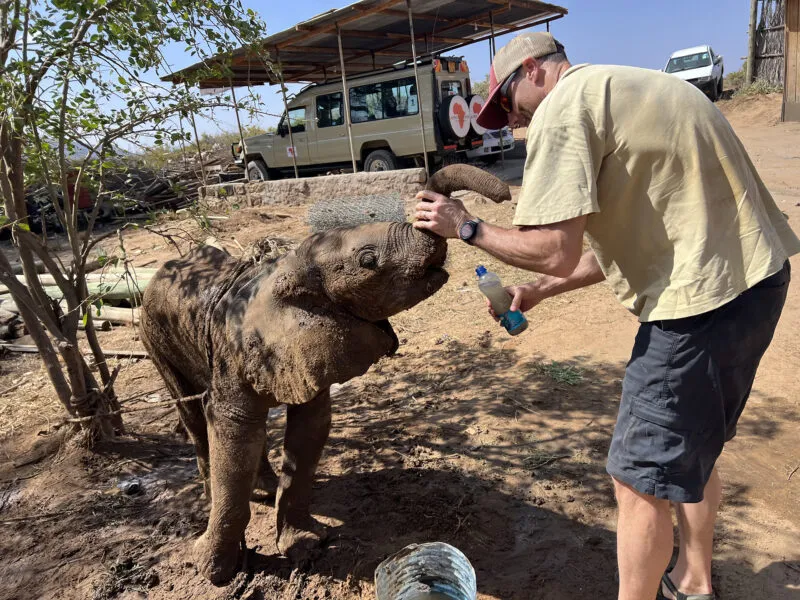 Elephant Calf's Emotional Reunion with Family Highlights Strong Social Bonds in Kenya
