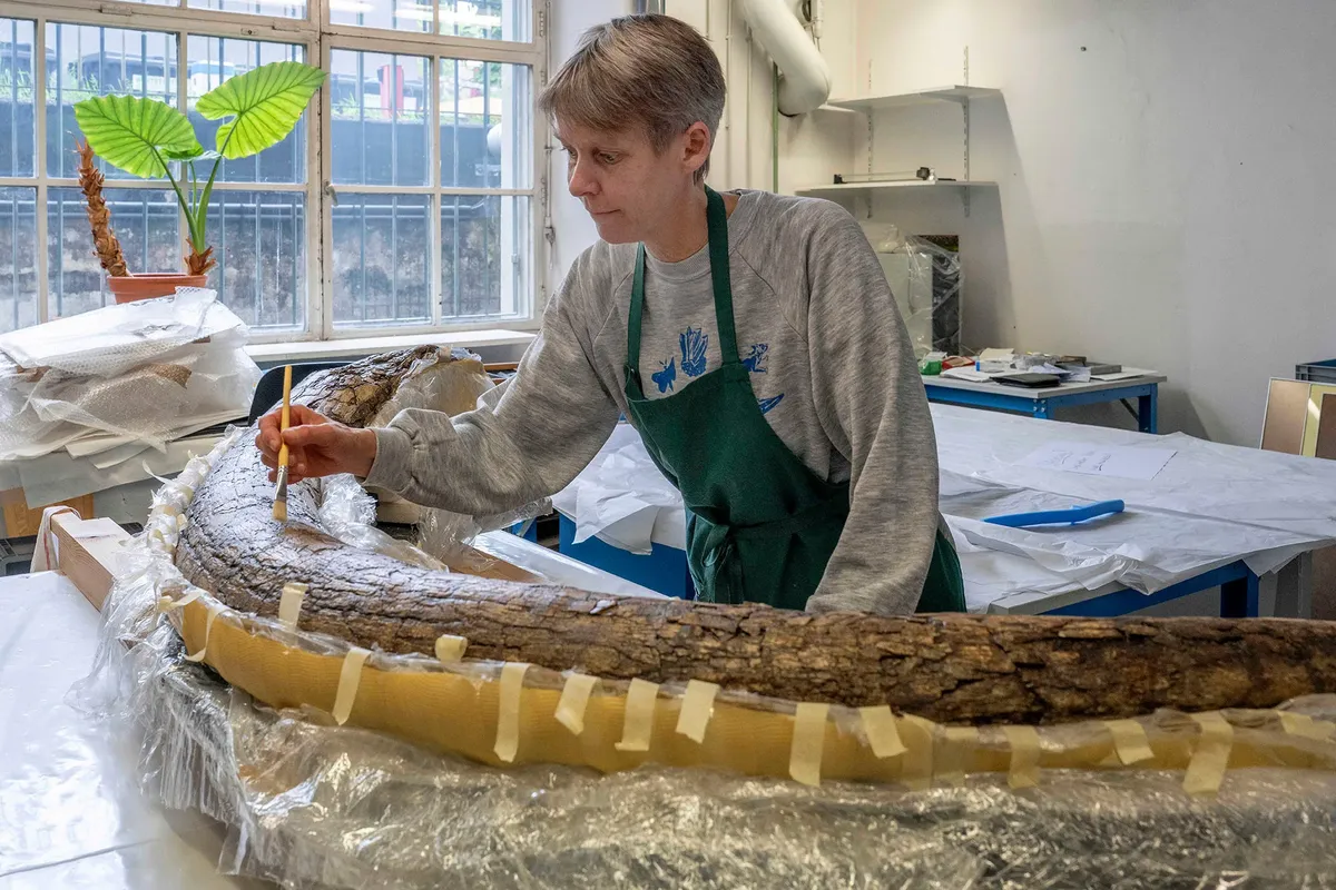 Evidence Suggests Hunter-Gatherers Butchered Mammoth 25,000 Years Ago in Bavaria