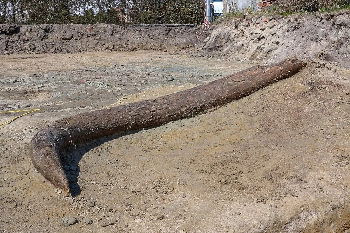 Evidence Suggests Hunter-Gatherers Butchered Mammoth 25,000 Years Ago in Bavaria