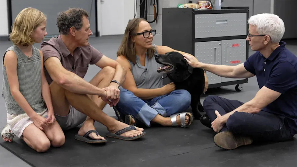 Ralph the Dog's Journey Illuminates Canine Cognitive Decline and Aging Research